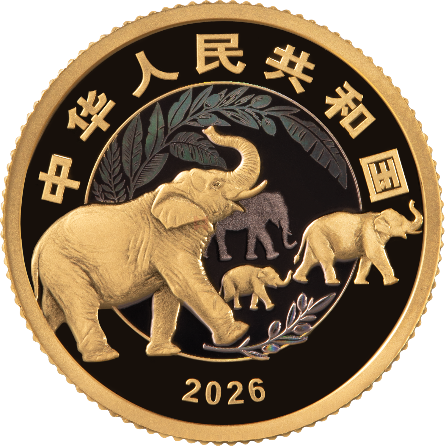 守护地球家园3克金质纪念币
