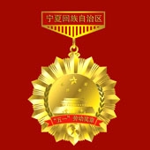 2011年4月 宁夏回族自冶区五一劳动奖章定制