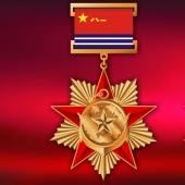 2013年12月：定制空军航空兵42师战友聚会荣誉奖章