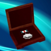 2013年3月：定制江门金富士总裁特别奖定制纯银纪念牌