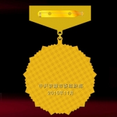 2015年10月定制　安康市委优秀共产党员奖章,奖章,荣誉证书定制