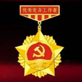 2016年6月定制　汉滨区委组织部优秀党务工作者勋章