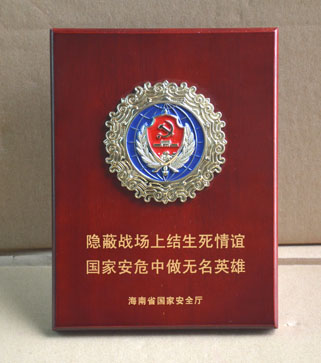 2010年12月海南省国家安全厅功臣荣誉奖章制作,功臣