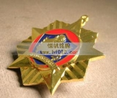 山东省公安厅奖章,金属勋章