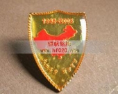 纪念抗日战争胜利纪念章,纪念胸章