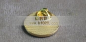 天心制药镶钻徽章,镀金镶镶徽章,真金胸针