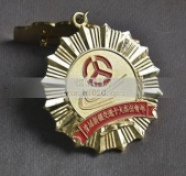 新疆自冶区十大杰出青年奖章,杰出青年勋章
